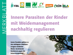 Innere Parasiten der Rinder mit Weidemanagement nachhaltig regulieren