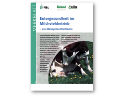 Eutergesundheit im Milchviehbetrieb