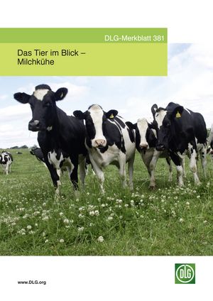 Titelblatt des Merkblattes