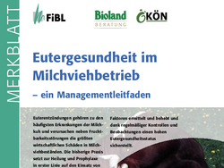 Eutergesundheit im Milchviehbetrieb