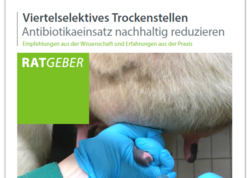 Viertelselektives Trockenstellen