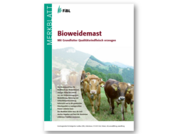 Bioweidemast