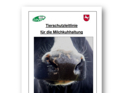 Tierschutzleitlinie für die Milchkuhhaltung