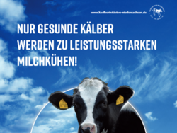 Kälberleitfaden der Kälberinitiative Niedersachsen