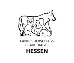 Verhalten von Nutztieren verstehen