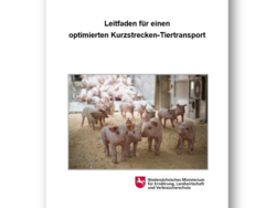 Leitfaden für einen optimierten Kurzstrecken-Tiertransport
