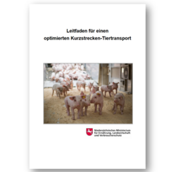Leitfaden für einen optimierten Kurzstrecken-Tiertransport