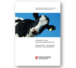 Leitfaden für eine optimierte Kälberaufzucht