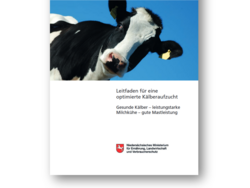 Leitfaden für eine optimierte Kälberaufzucht