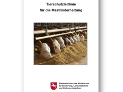 Tierschutzleitlinie für die Mastrinderhaltung