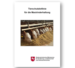 Tierschutzleitlinie für die Mastrinderhaltung