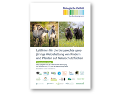 Ganzjahresbeweidung & Tierwohl