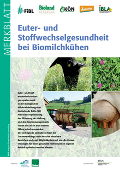 Euter- und Stoffwechselgesundheit bei Biomilchkühen