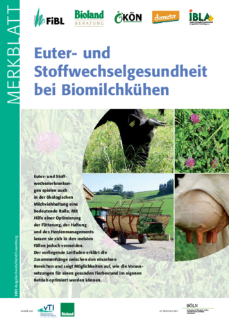 Euter- und Stoffwechselgesundheit bei Biomilchkühen