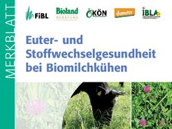 Euter- und Stoffwechselgesundheit bei Biomilchkühen
